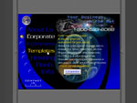 Your Business on the Net